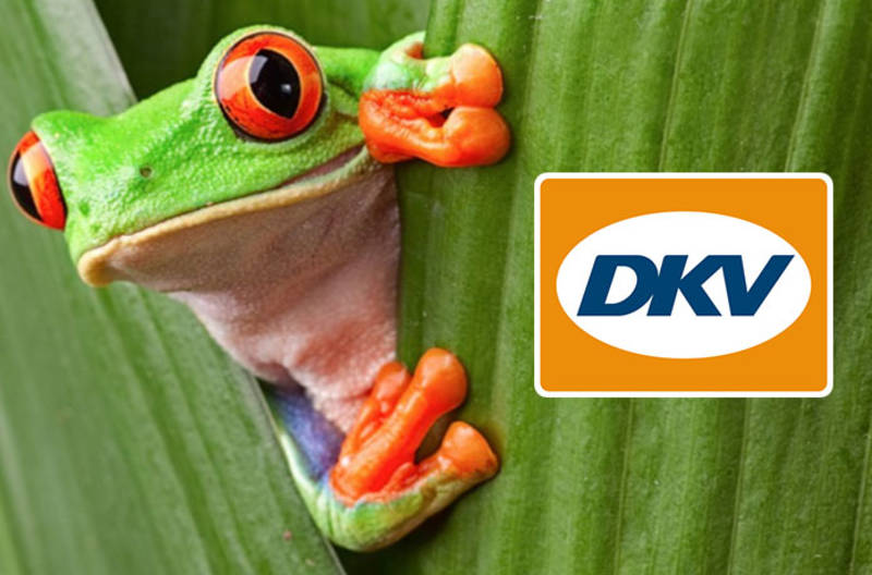 DMS CO2neutral tanken mit der DKV CARD CLIMATE