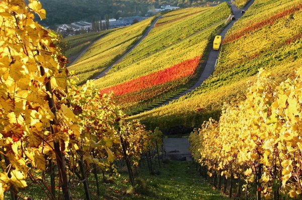 Umzugsfahrzeug in Weinberg