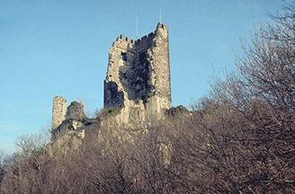 Burgruine Drachenfels