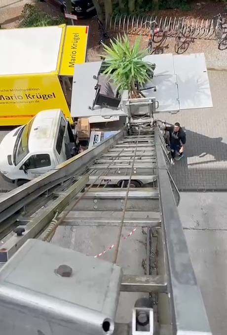 Außenaufzug beim Umzug, beladen mit Pflanze